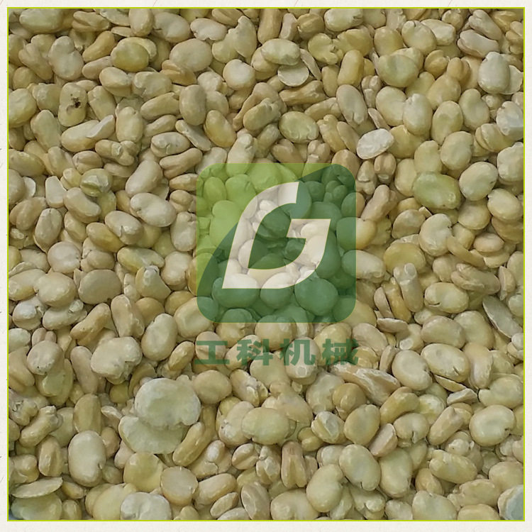 干法蚕豆整粒去皮机2025