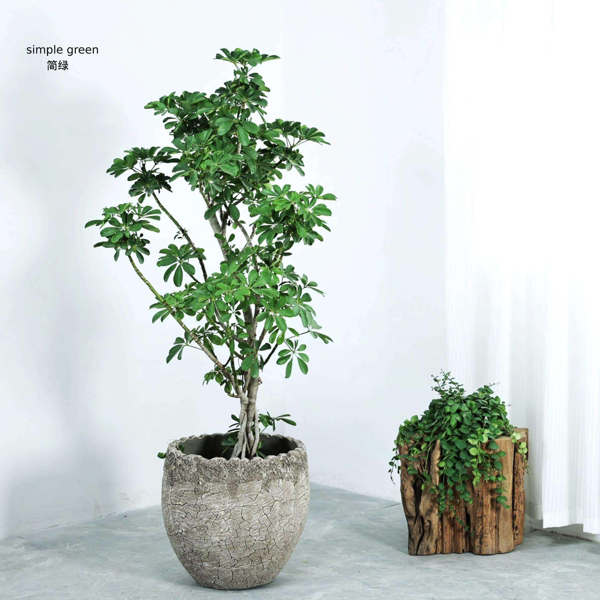 镁泥花盆欧美现代艺术客厅商场室内外落地复古清新特大型号绿植盆