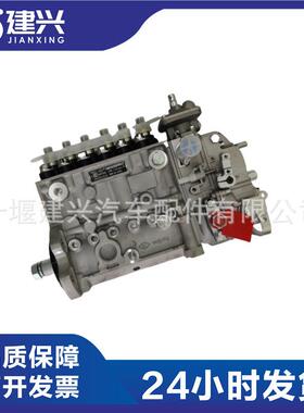 工程机械发电机组东风康明斯6CT8.3高压油泵4989873BHF6P120005