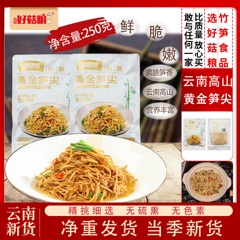 当季新货黄金笋尖云南特产正宗高山春笋冬笋火锅饭店酒店商用批发