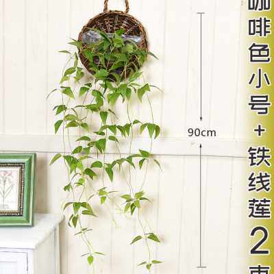 挂篮壁挂花盆干花墙壁装饰吊篮编织鸟窝花篮壁挂墙上藤编悬挂花盆