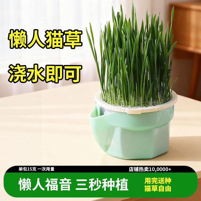猫草水培盆懒人水培杯种植猫草杯盆栽排毛球化毛草猫草盆猫咪零食,宠物/宠物食品及用品,猫草/猫草片,淘宝优惠券,粉丝福利购,淘宝优惠卷