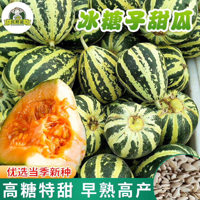 冰糖子甜瓜种子超甜花皮春秋四季香瓜种籽大全阳台庭院水果蔬菜种,鲜花速递/花卉仿真/绿植园艺,家庭园艺种子,淘宝优惠券,粉丝福利购,淘宝优惠卷