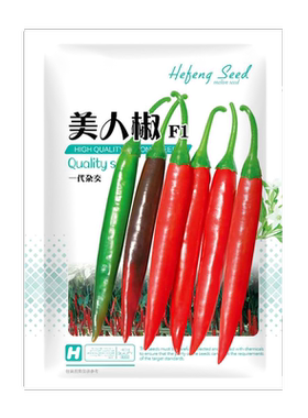 美人辣椒种子农家包发芽