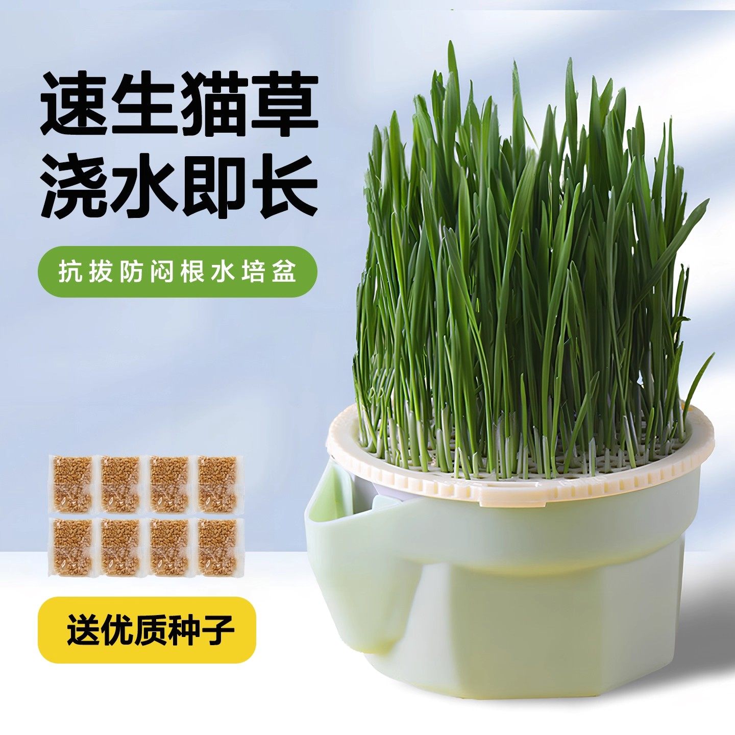 懒人猫草水培盆水培杯种植排毛球化毛草猫草杯猫草盆猫咪零食盆栽,鲜花速递/花卉仿真/绿植园艺,育苗盘/营养钵,淘宝优惠券,粉丝福利购,淘宝优惠卷
