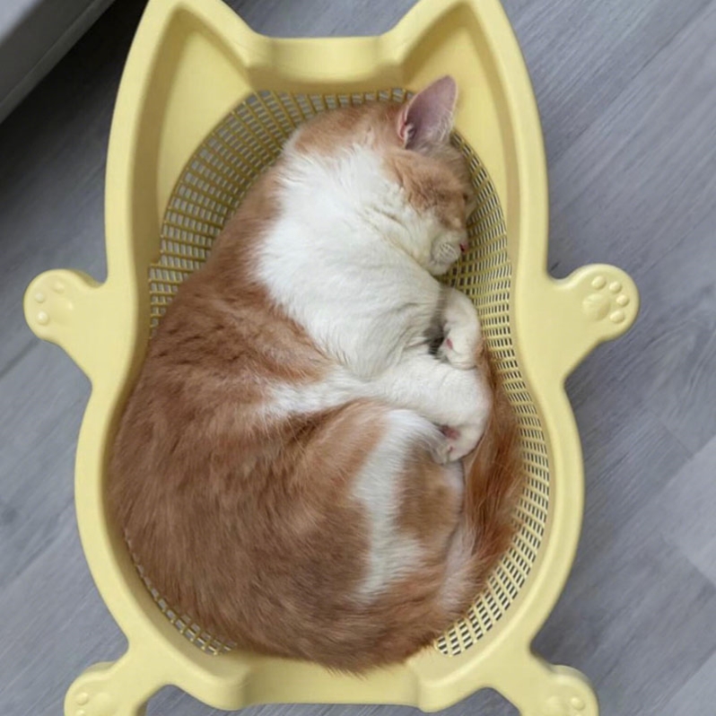 菜篮子猫窝2025新款四季通用舒适透气宠物猫狗加厚PP材质宠物窝