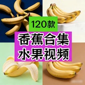 日系香蕉合集新鲜水果大棚采摘绿色果蔬视频影视片资源全集网盘发