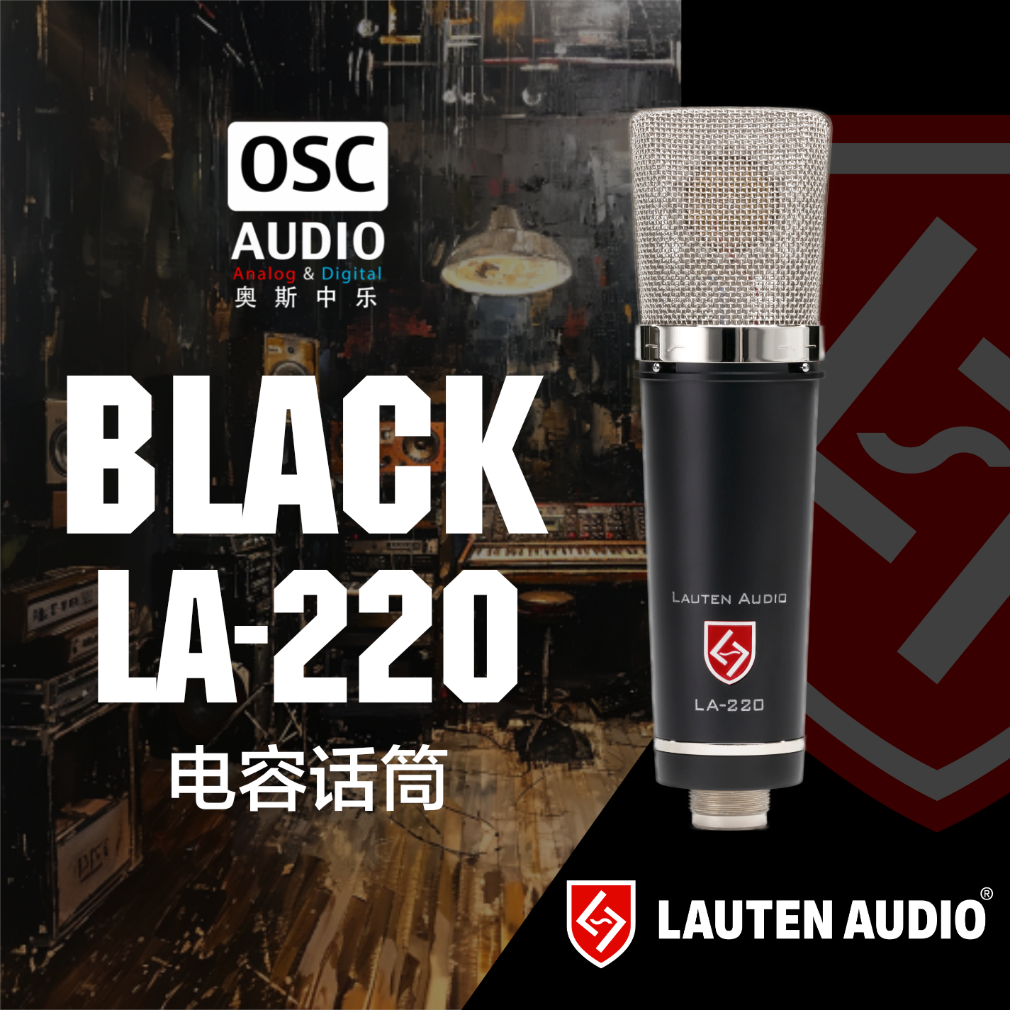 Lauten Audio LA220 V2 大振膜电容话筒 乐器/吉他/钢琴/配件 话筒 原图主图