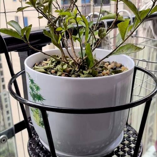 阳台花架护栏花盆架栏杆悬挂