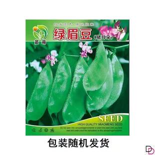 大肉绿眉豆猪耳朵扁豆种子种籽南方四季豆角梅豆角梅豆孑架豆菜豆