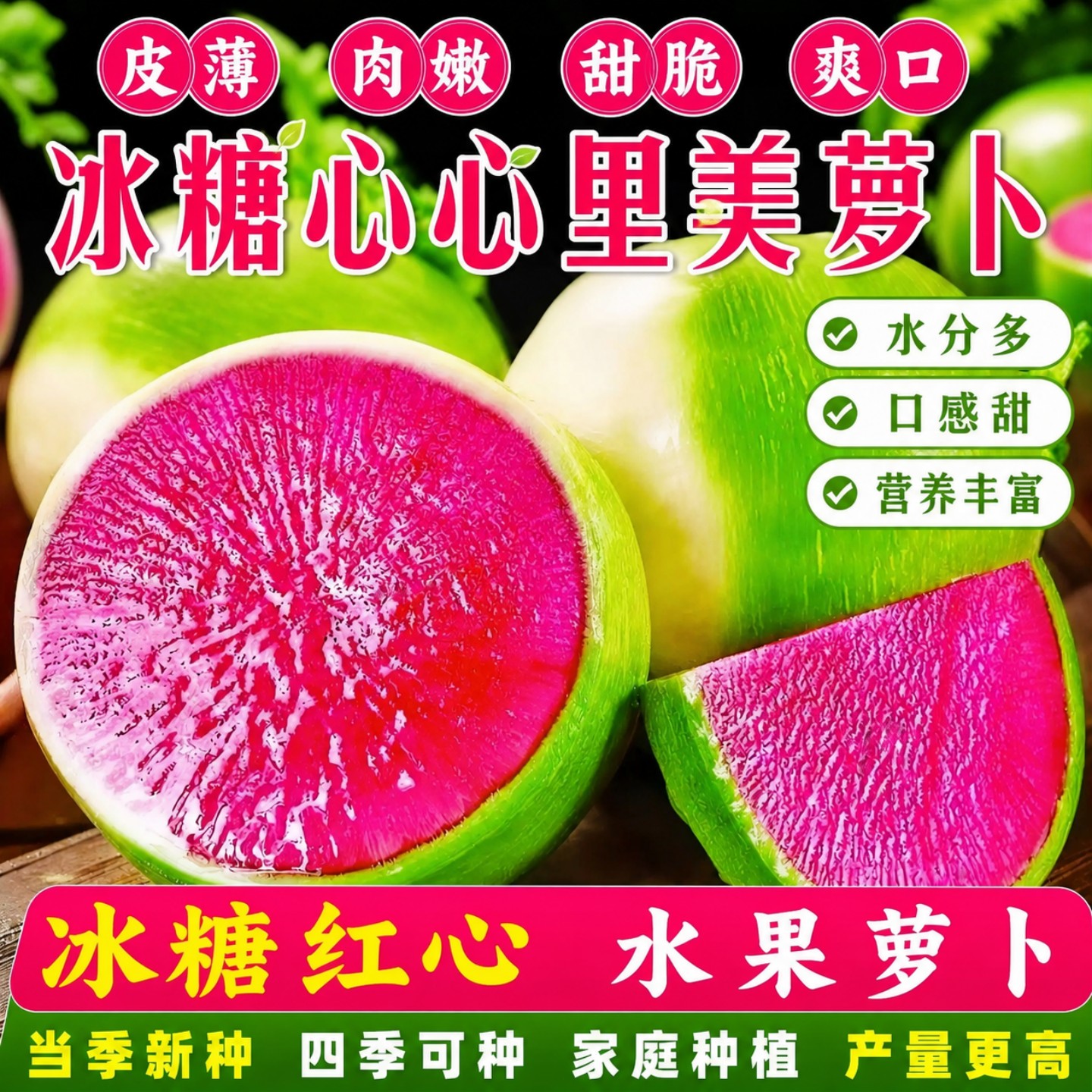 心里美冰糖心萝卜种子四季易种