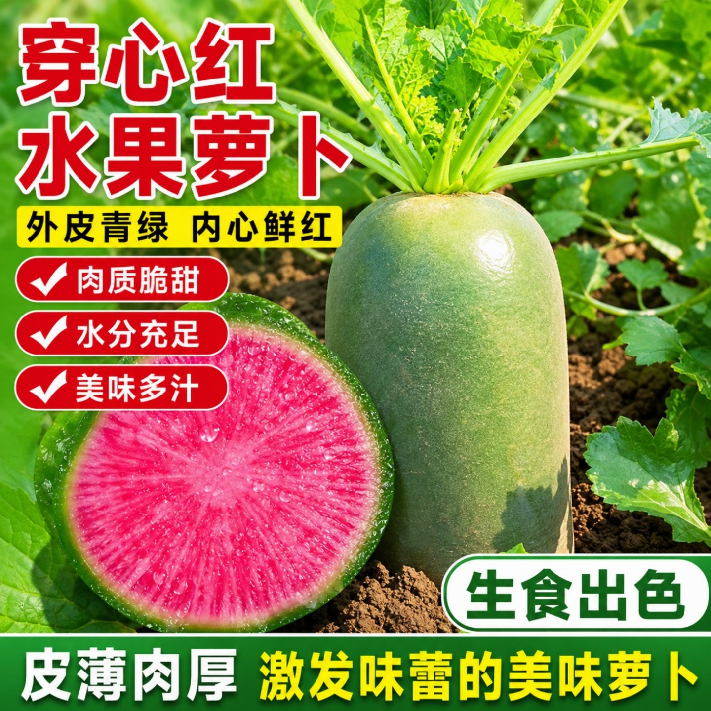 穿心红水果萝卜种子生吃甜脆春秋