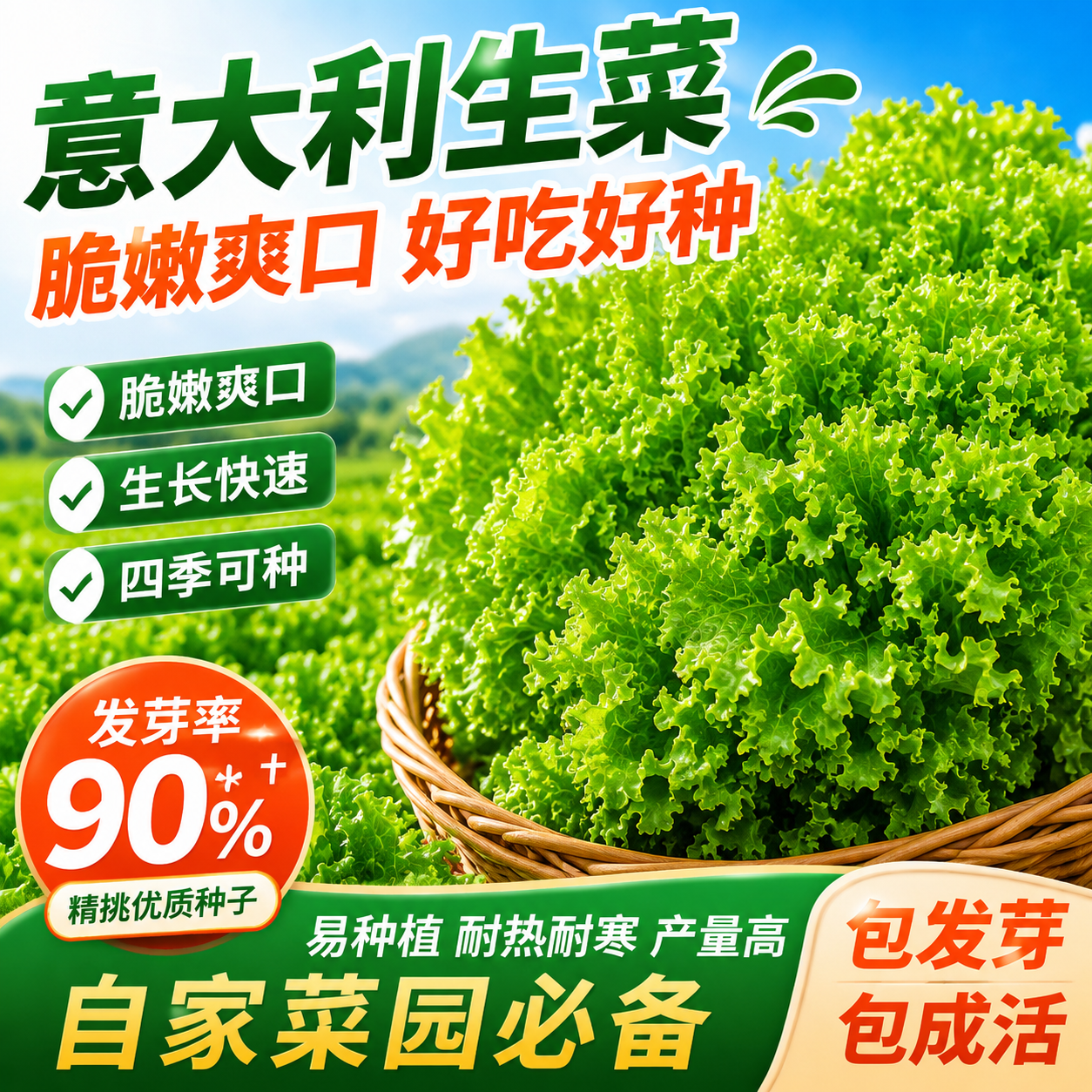 意大利生菜种子籽抗热耐抽苔全年生菜四季种植家庭阳台菜园易种植
