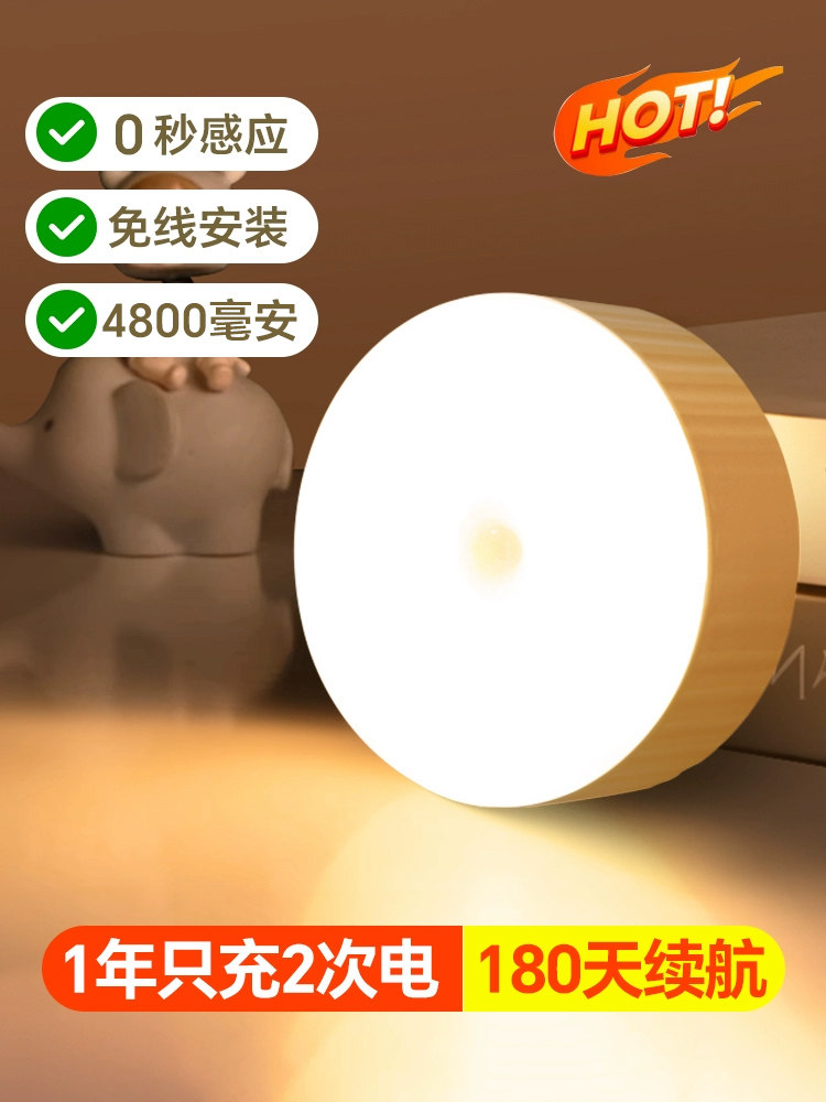 自动人体传感器夜间灯泡家庭走廊走廊Led充电声光控制衣柜走廊楼