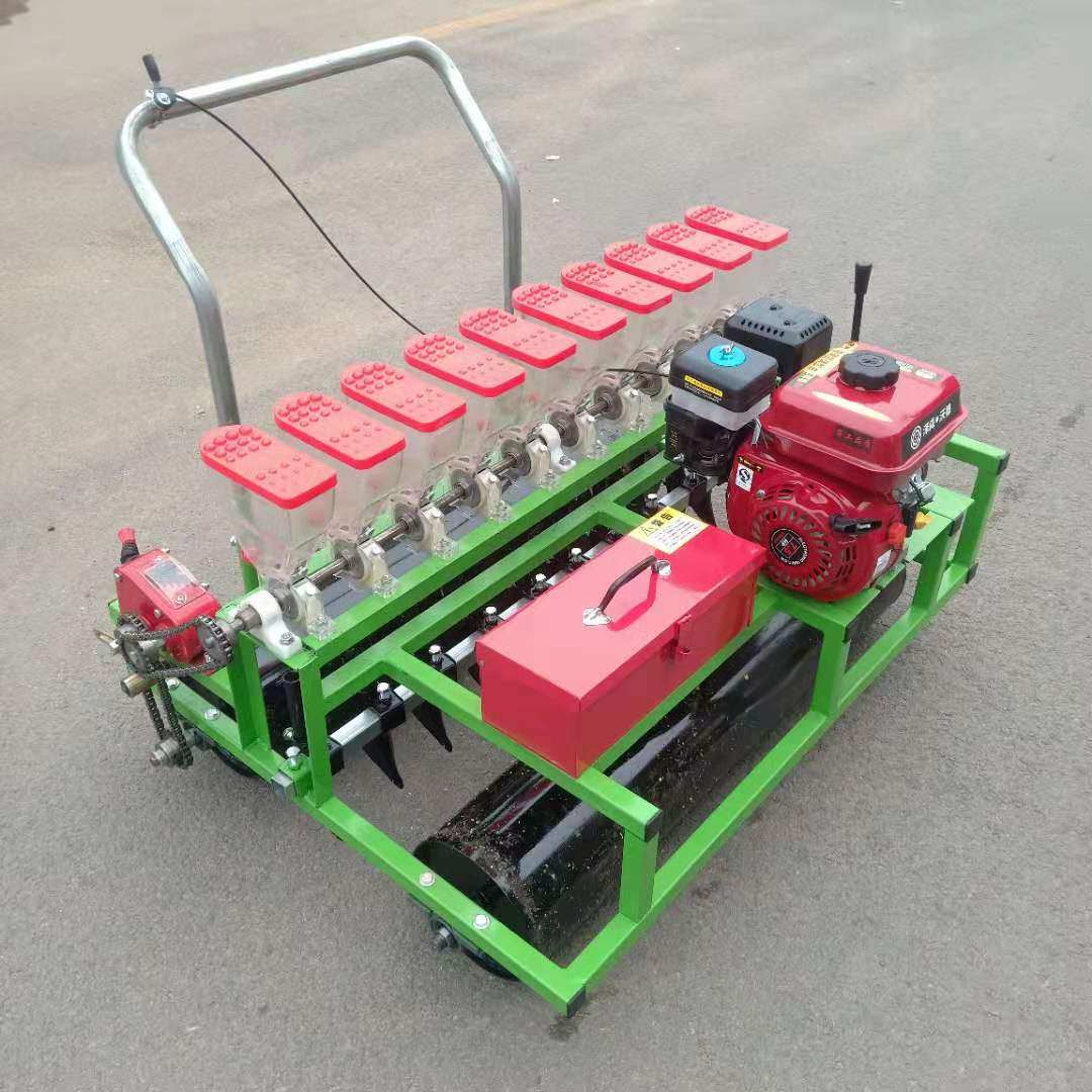安阳汽油双排8行播种机 手推式苋菜播种机 株距可调谷物精播机
