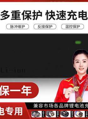 锂电池电动车充电器48V36V60V24V2A72V10A电车锂离子哈雷平衡车