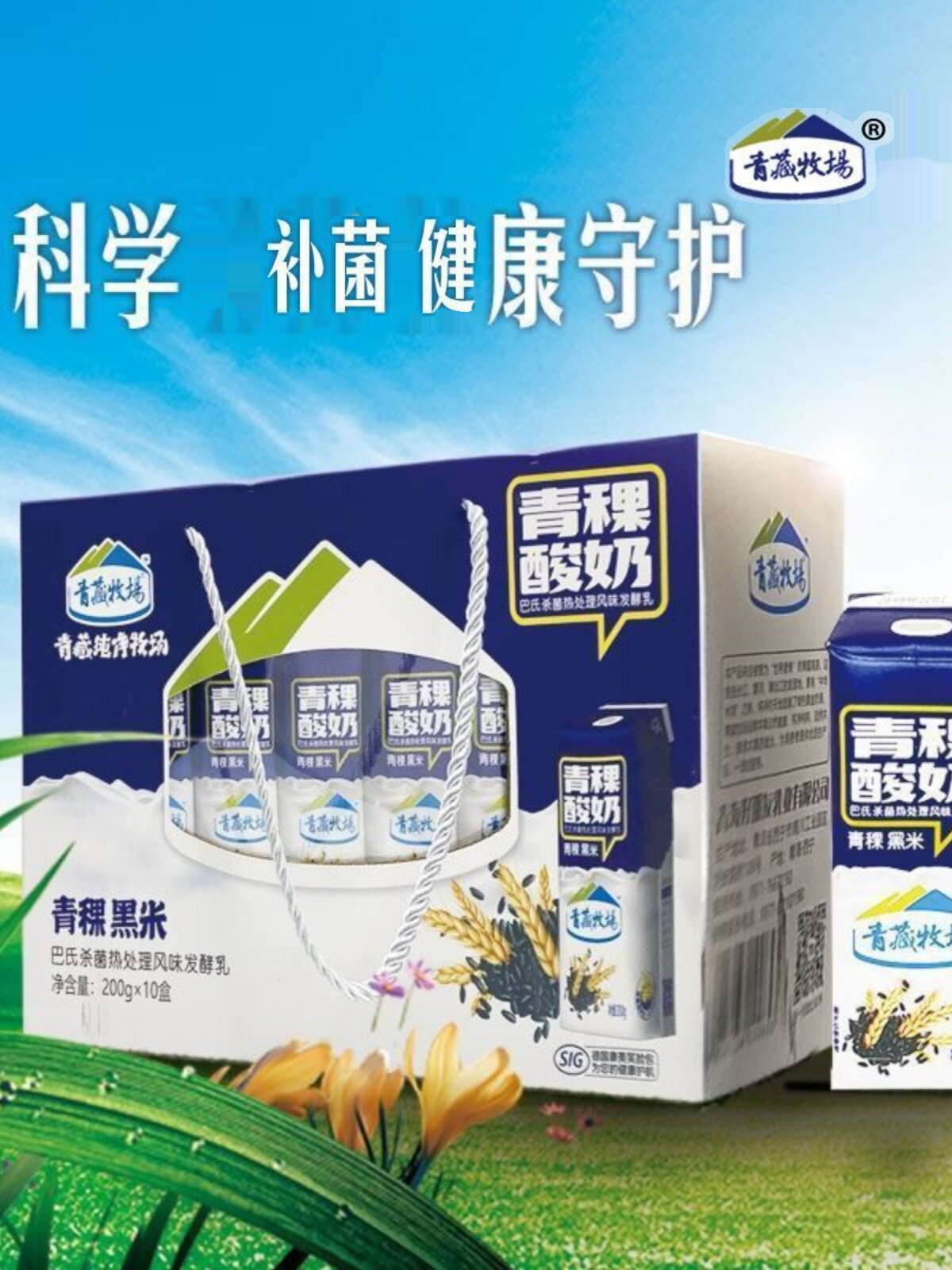 青海青藏牧场酸奶网红藏式青稞黑米酸奶200gx10盒健康美味嚼着吃