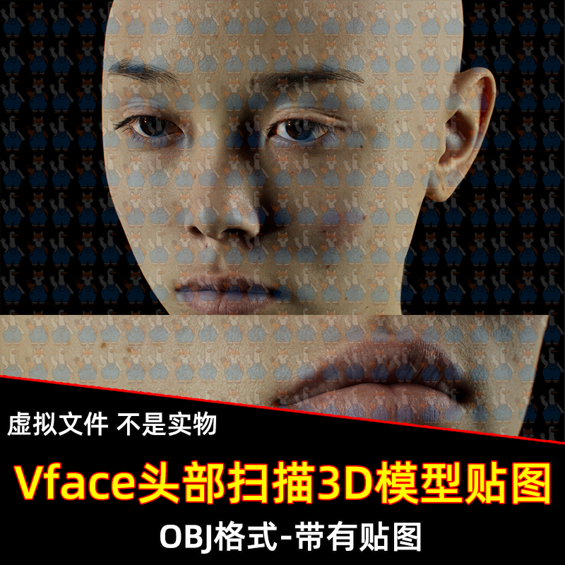 XYZ/Vface素材ZBrush写实高清扫描3D模型头部16K皮肤贴图OBJ格式