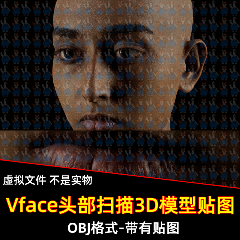 XYZ/Vface素材ZBrush写实高清扫描3D模型头部16K皮肤贴图OBJ格式