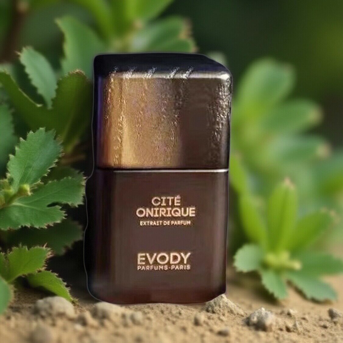 众人之香EVODY香水纯白真我烟影金色柠檬黑桃皇后虚幻都市试小样