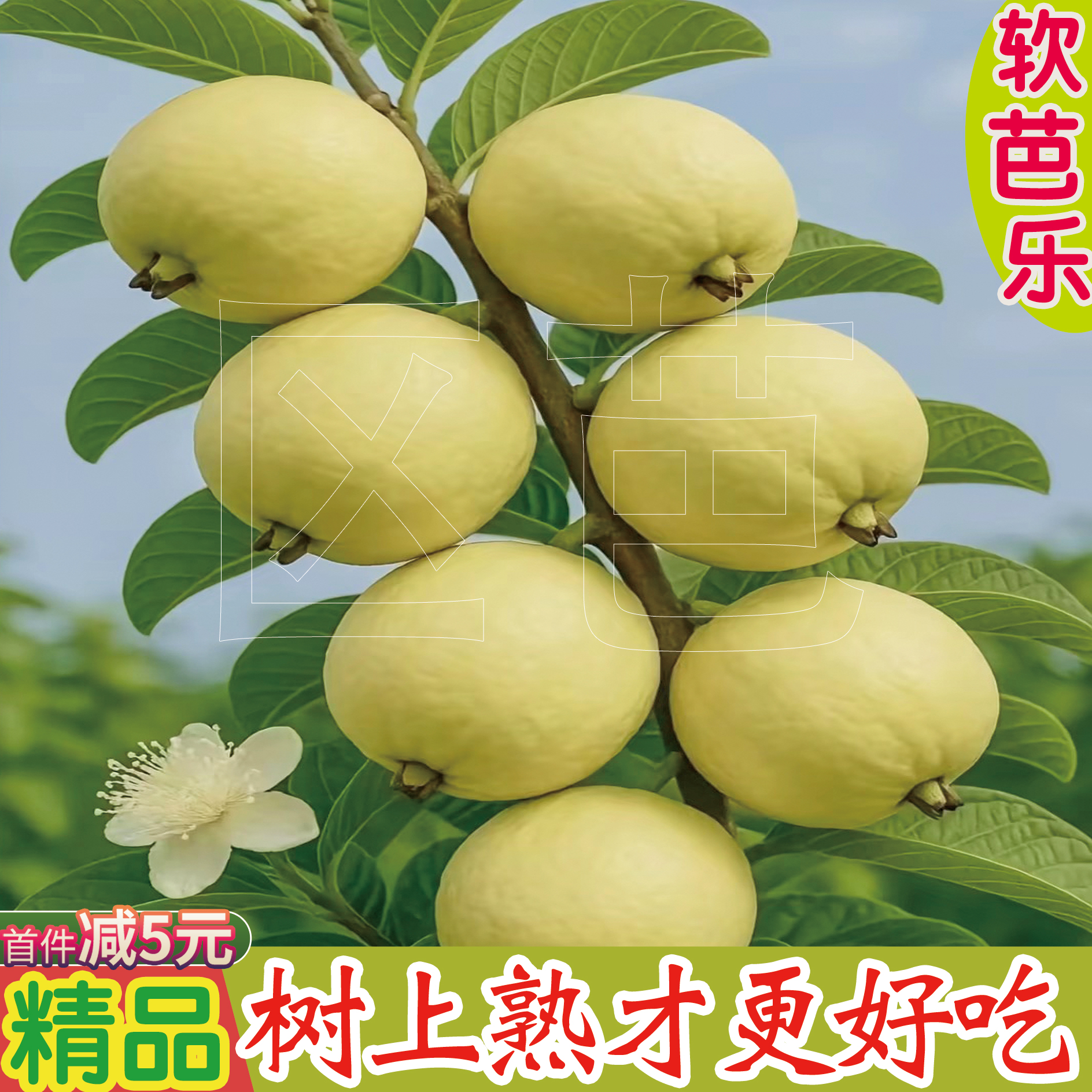 1级精品！奶油软芭乐冰淇淋口感