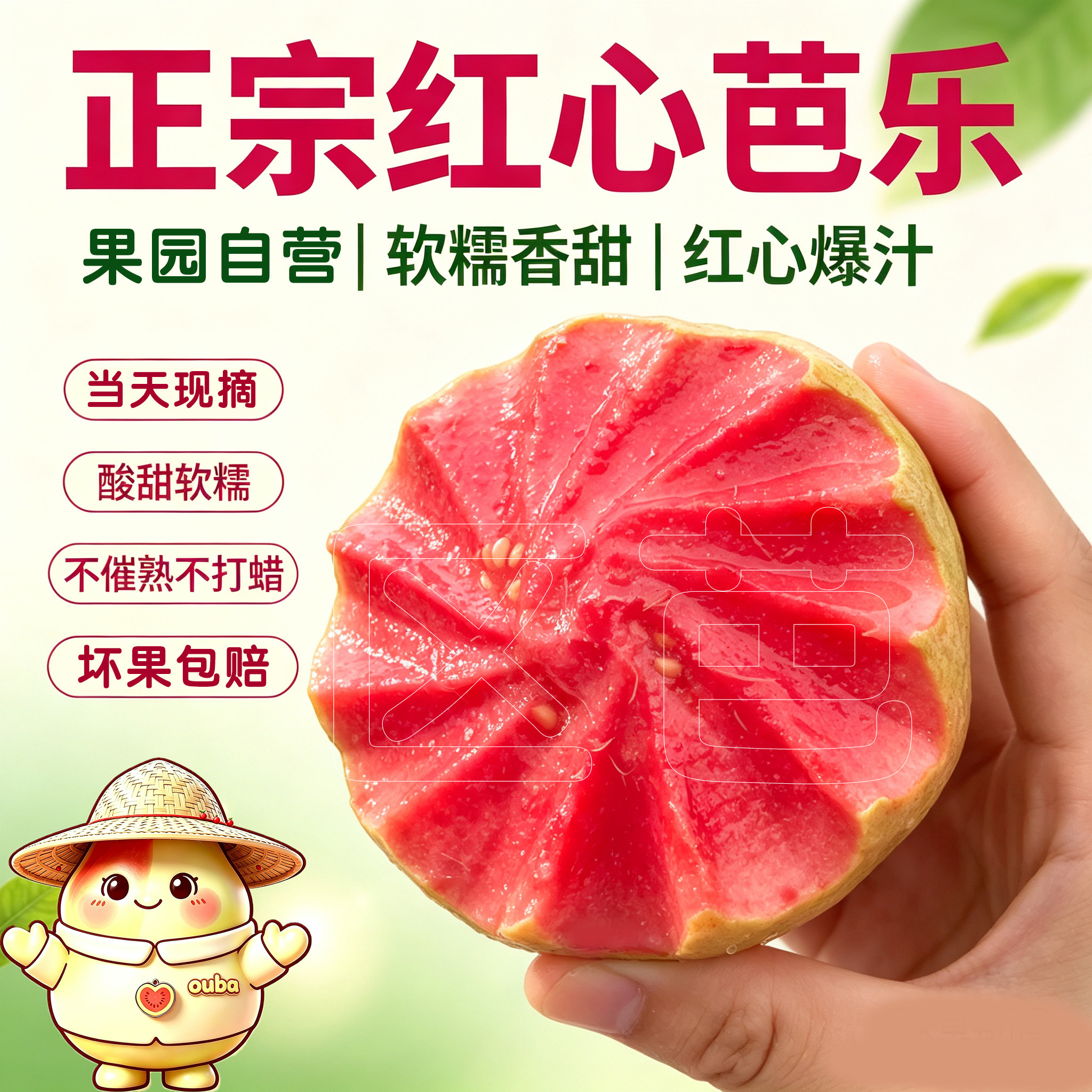 A级精品红心软芭乐糯唧唧更好吃