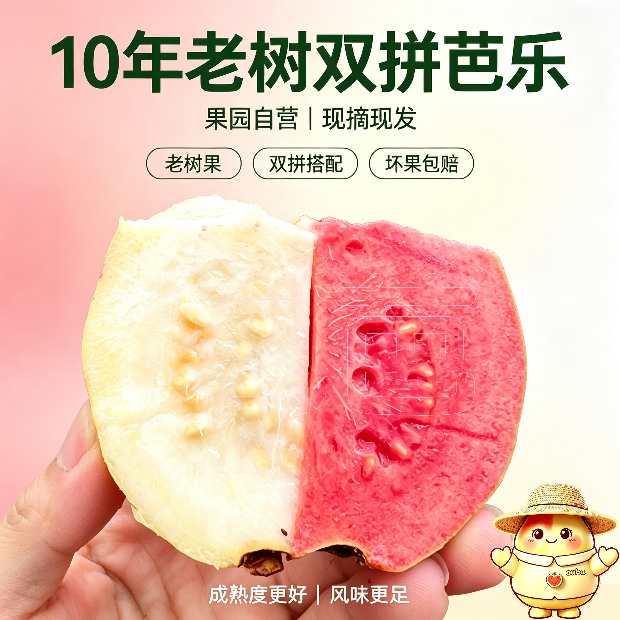 广西区芭新鲜现摘低糖低卡芭乐