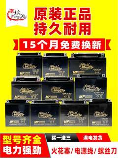 王氏摩托车电瓶12v免维护9A骑士跨骑弯梁125踏板车7A通用干蓄电池