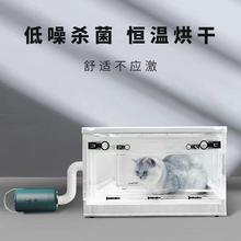 宠物烘干箱吹水机烘干机家用小型猫咪狗狗吹毛洗澡吹风箱吹干神器