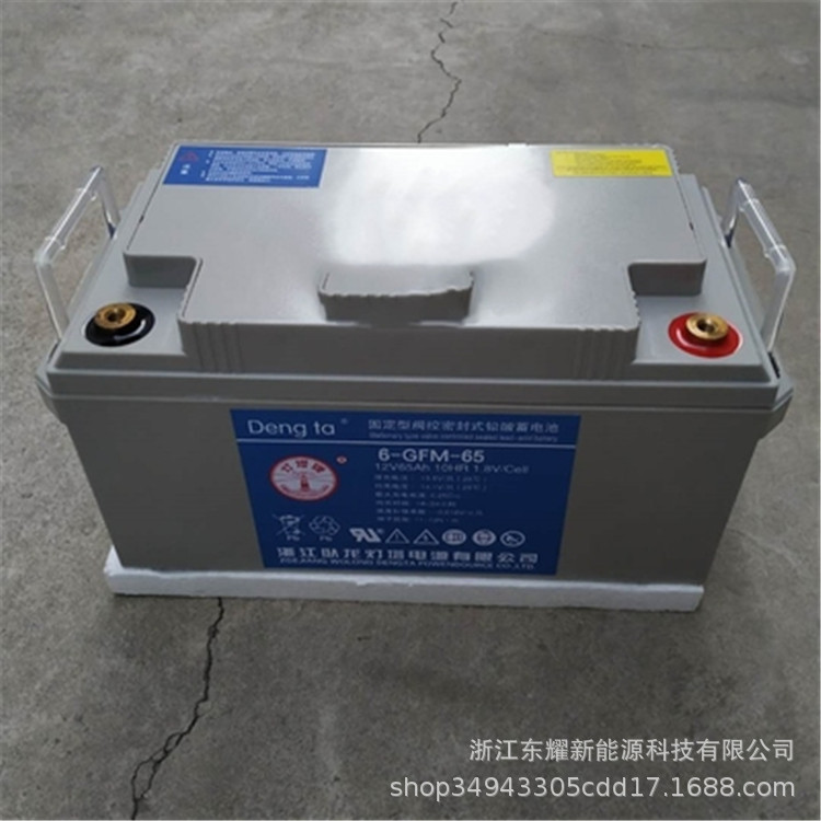 灯塔蓄电池12V65AH卧龙6-