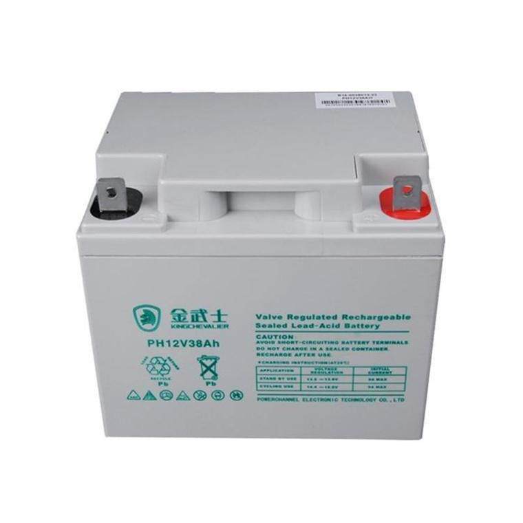 金武士蓄电池PW38-12 绿色环保免维护型 消防巡检成套柜EPS应急电