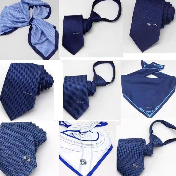 比亚迪王朝网领带胸针司徽龙麟