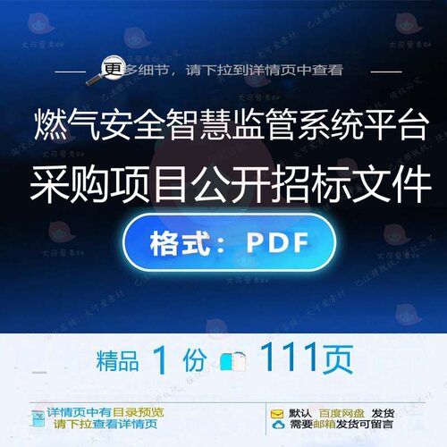燃气安全智慧监管系统平台采购项目公开招标智慧项目文件111页