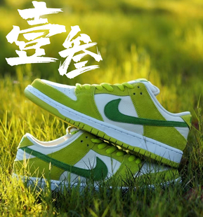 Low Dunk Pro青苹果男女同款 时尚 Nike 潮流复古低帮板鞋