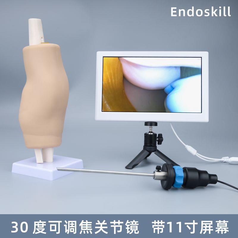 Endoskill膝关节真模拟训练练习模型30度可调焦关节镜