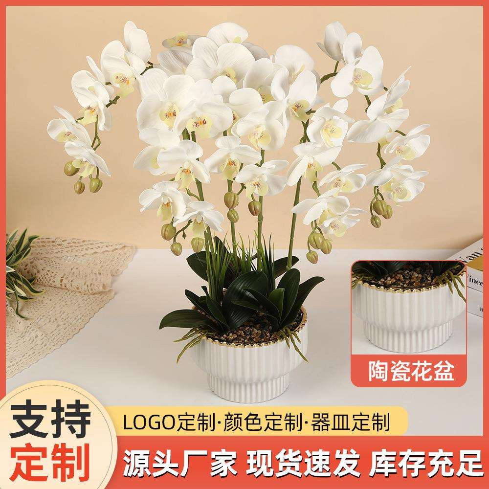 7朵手感蝴蝶兰盆栽餐桌茶几装饰仿真花盆景摄影拍照假花道具