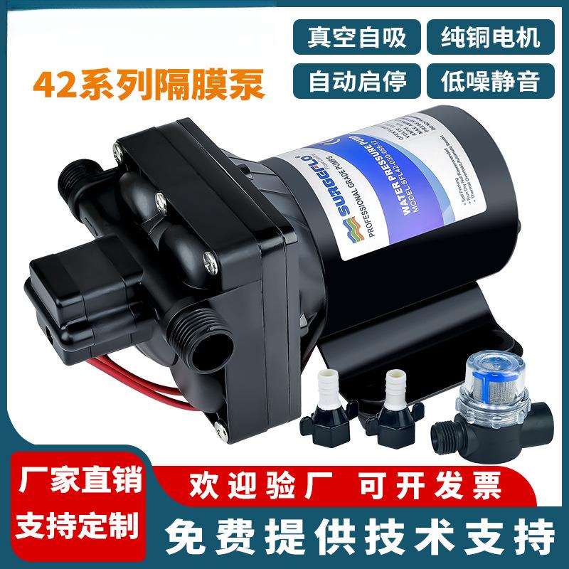 42款静音电动隔膜泵房车游艇直流12V24V灌装机自吸式增压抽吸水泵