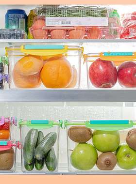 ?bringeco保鲜盒大容量密封盒饭盒便当盒微波冰箱水果组合