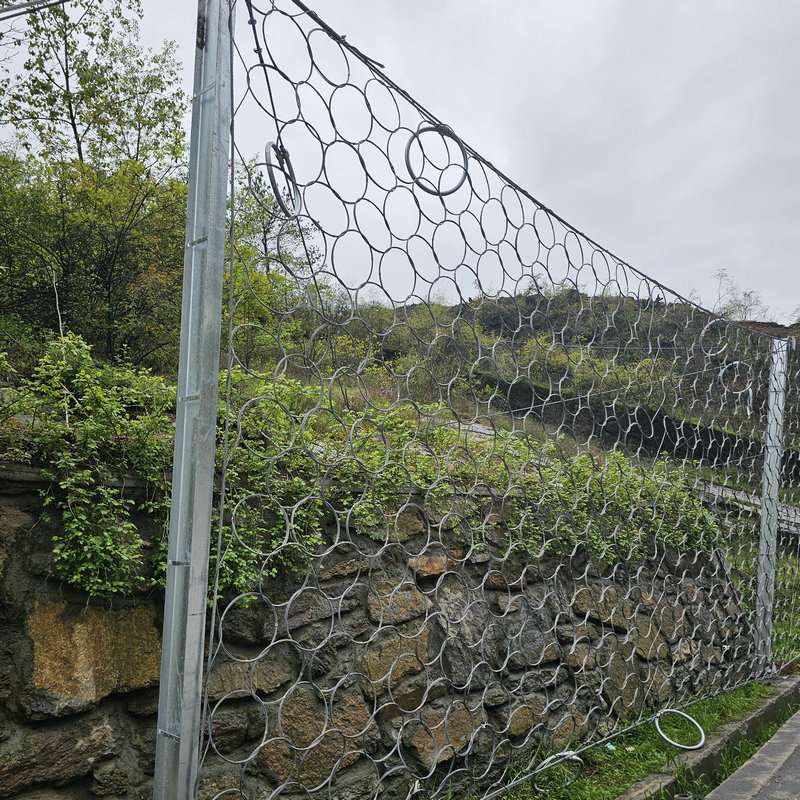 被动环形防护网 柔性防落石拦截镀锌绳网景区危岩保护锚杆勾花网