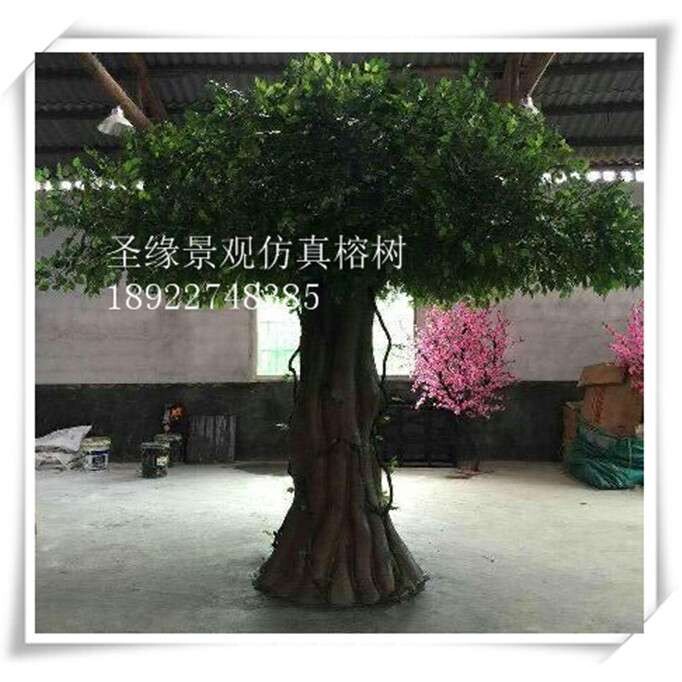 餐厅室内装饰仿真绿植大型仿真树榕树幸福树 实木杆假树绿榕树