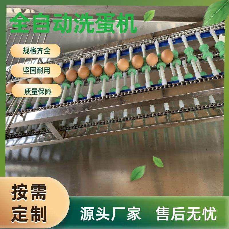 智能高产量洗蛋机禽蛋类蛋品清洗机鸡鸭蛋洗刷去泥喷油风干流水线