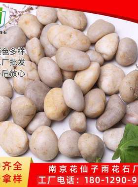 直销白色普通抛光鹅卵石雨花石园林铺路鹅卵石