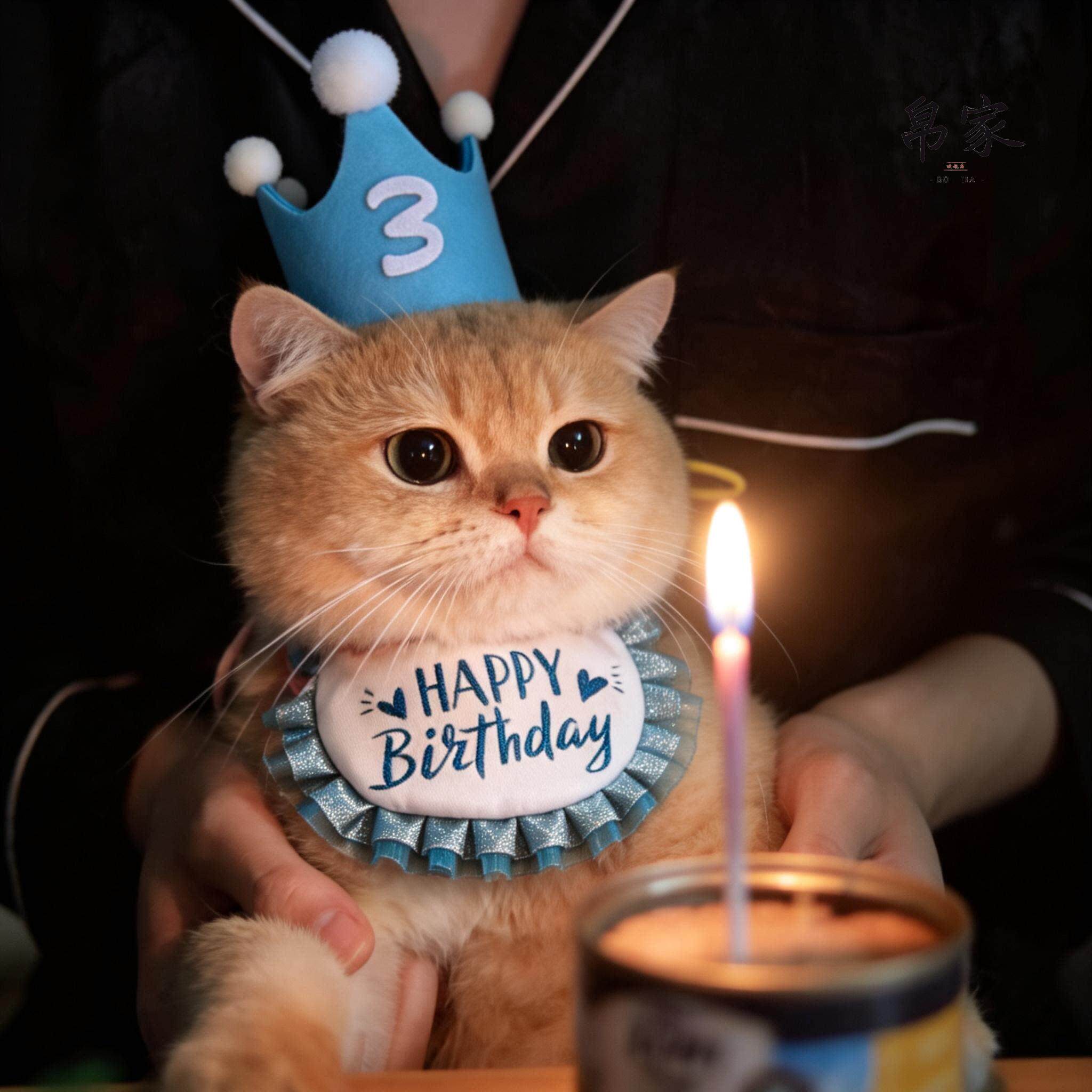猫咪生日围脖口水巾宠物小配饰小猫围兜围巾装饰帽子围嘴拍照道具