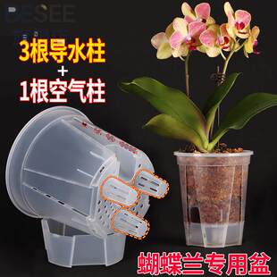新款透明蝴蝶兰专用花盆大口径拼组单株水苔青山盆透气控根高级感