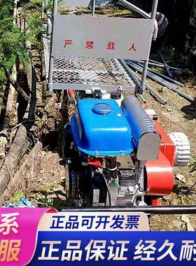 轨道搬果运车汽YVT爬坡载货搬运蔬自走式山地果大园棚单轨运输油