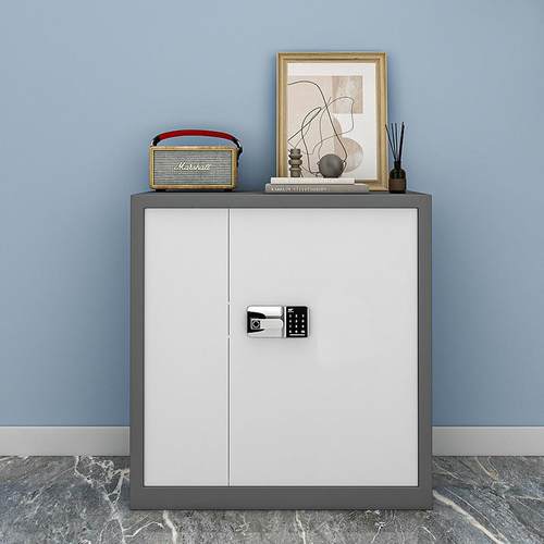 电保密柜办公文件钢柜锁铁皮子柜财务资DJBMG-16料档案带柜制储物