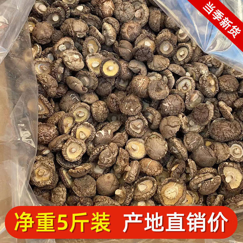 菌裕新货干香菇干货肉厚无根鲜嫩香菇干货批发煲炒汤菜2500g五斤