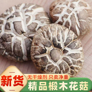 西峡特产精品花菇干货500g包邮新鲜营养干香菇冬菇蘑菇非特级送礼