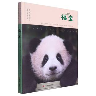 淘气包大熊猫宝宝福宝 福宝 成长记录 精