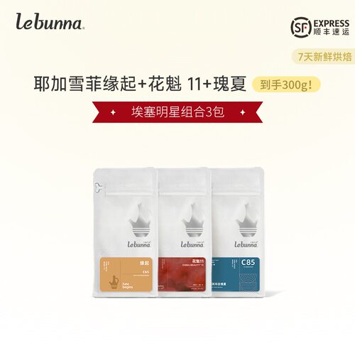 100%埃塞俄比亚咖啡豆